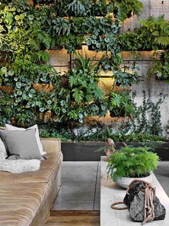 1 Hotels virtual background