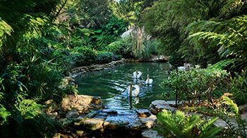 The Beverly Hills Hotel virtual background