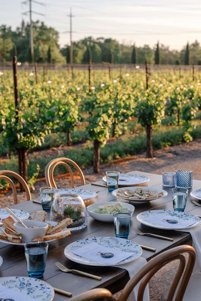 An outdoor dining table set with plates, glasses, and food, positioned beside a vineyard with green grapevines under natural daylight.
