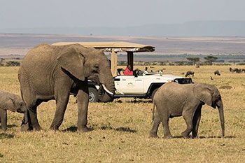 Mahali Mzuri virtual background