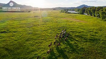 Brush Creek Ranch virtual background