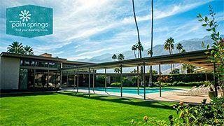 Virtual Background - Palm Springs