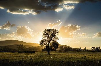 Brush Creek Ranch virtual background