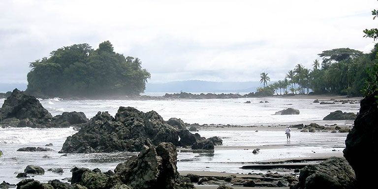 Colombian Pacific