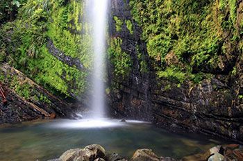 Puerto Rico Virtual Background