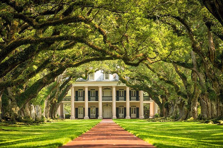 Oak Alley Plantations