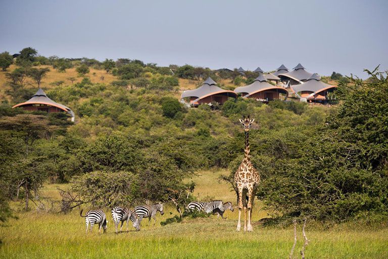 Mahali Mzuri - get into the Africa vibe